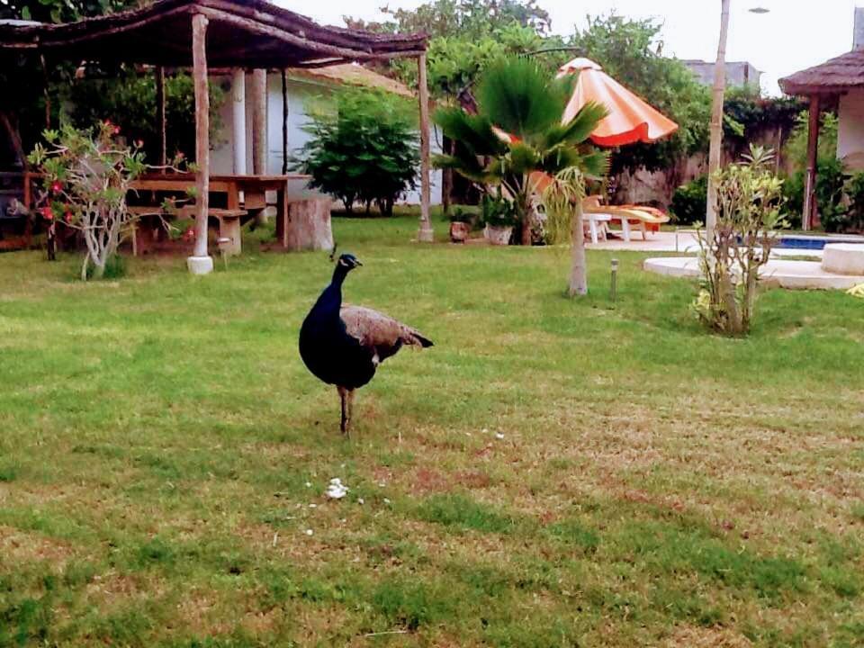 Jardin D'Afrique Hotel Saly Portudal Ruang foto